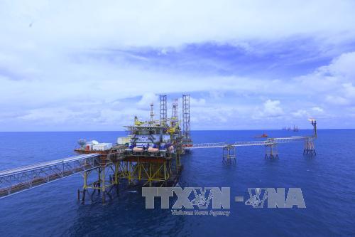 Tập đoàn Dầu khí Việt Nam cần xây dựng niềm tin ảnh 2